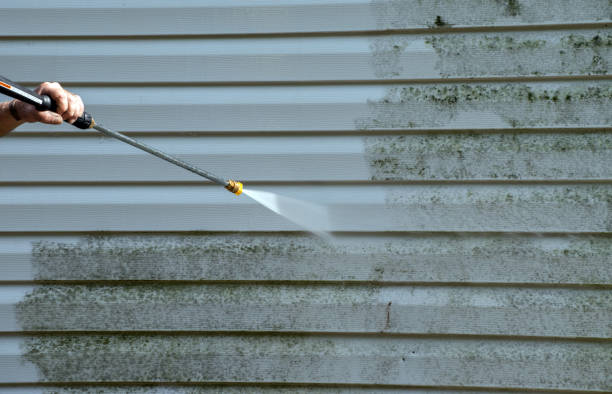 Best Eco-Friendly Pressure Washing in Snoqualmie, WA